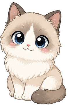布偶猫